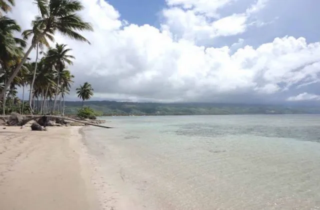 Playa El Flamboyan Las Terrenas Samana Republica Dominicana